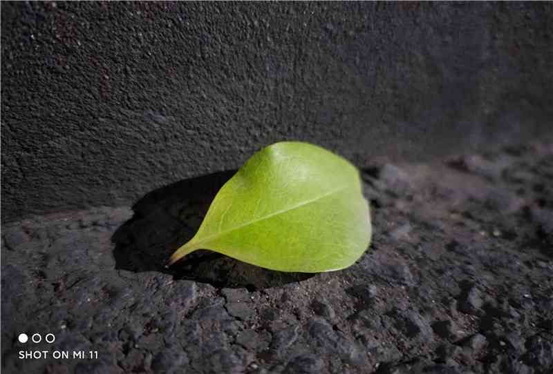 小米手机怎么样 首款骁龙888手机咋样？小米11深度评测：无遗憾的顶级水桶机