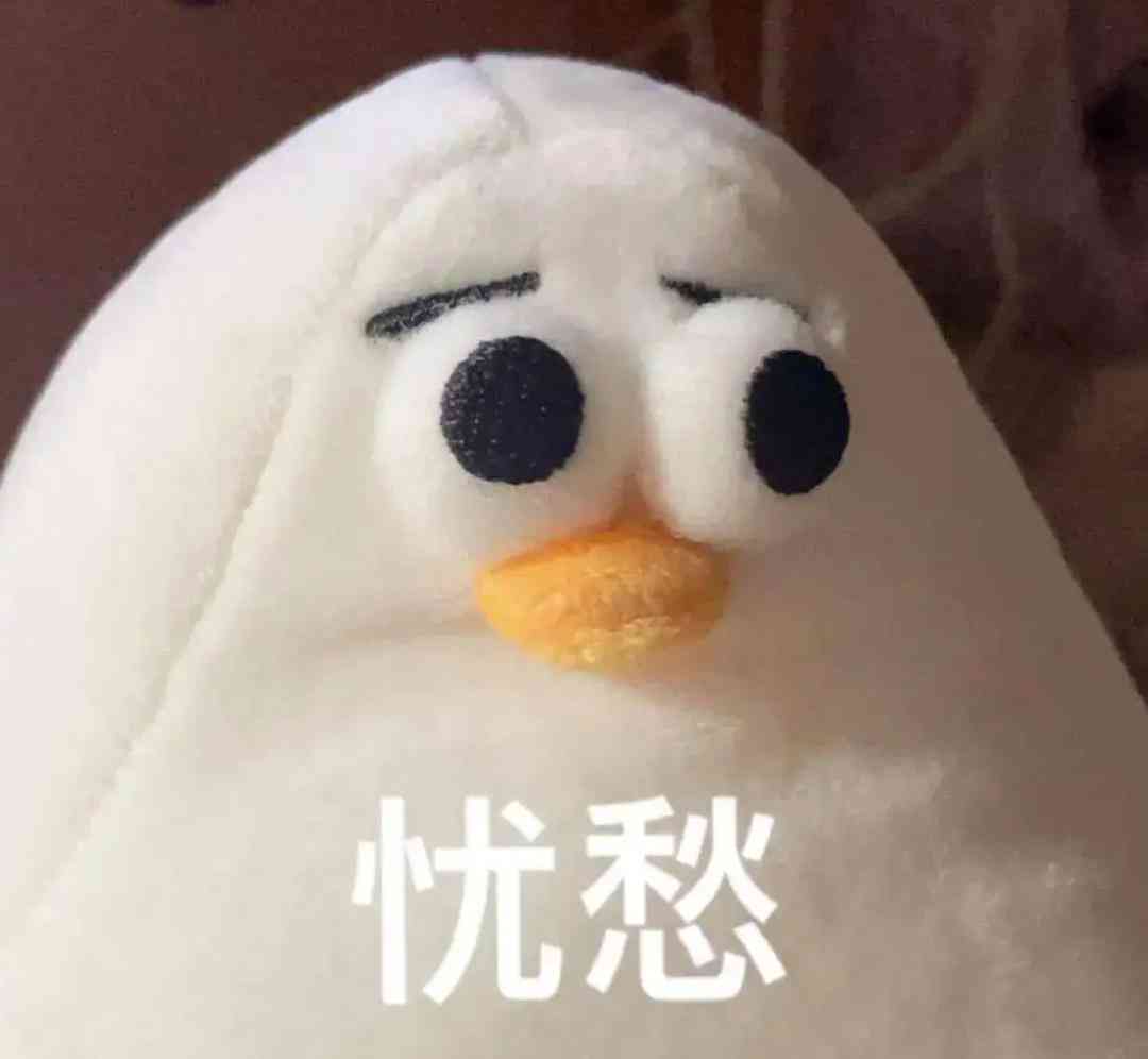 索尼w610怎么样 喂过一次大连海鸥，人类就要为自己的弱小羞愧