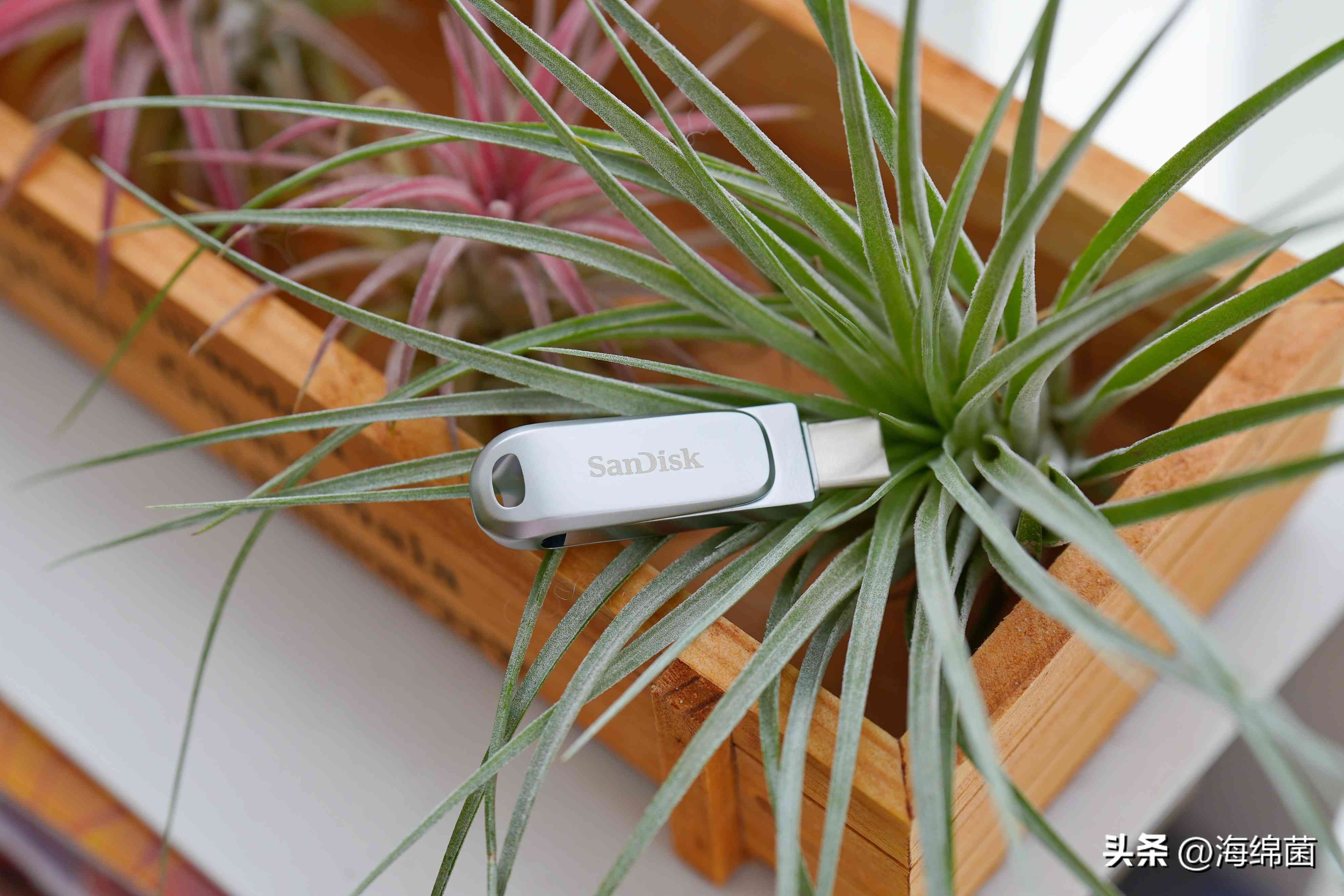 U盘也能变好看？我的多彩搭子：闪迪至尊高速酷锃闪存盘使用体验