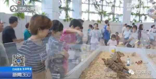 土拨鼠怎么样 一见就想尖叫的土拨鼠，养只当宠物？疾控专家：小心，有危险