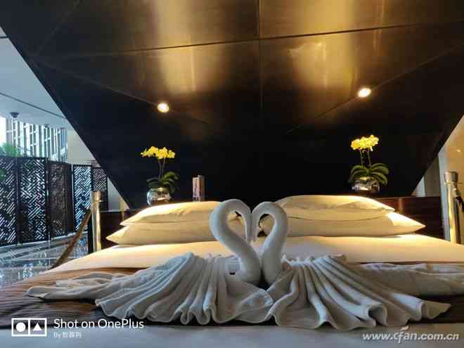 一加6全面评测：3199元起是否值得入手？