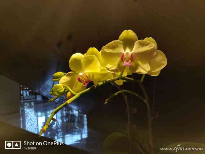 一加6全面评测：3199元起是否值得入手？