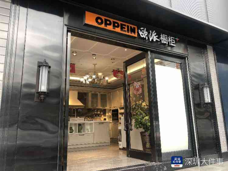 欧派油烟机用户体验深度解析：故障频发与售后协调纪实