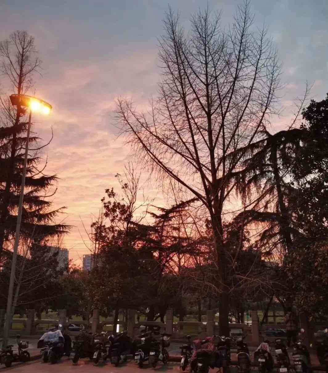 mcm怎么样 全球016%，是他们