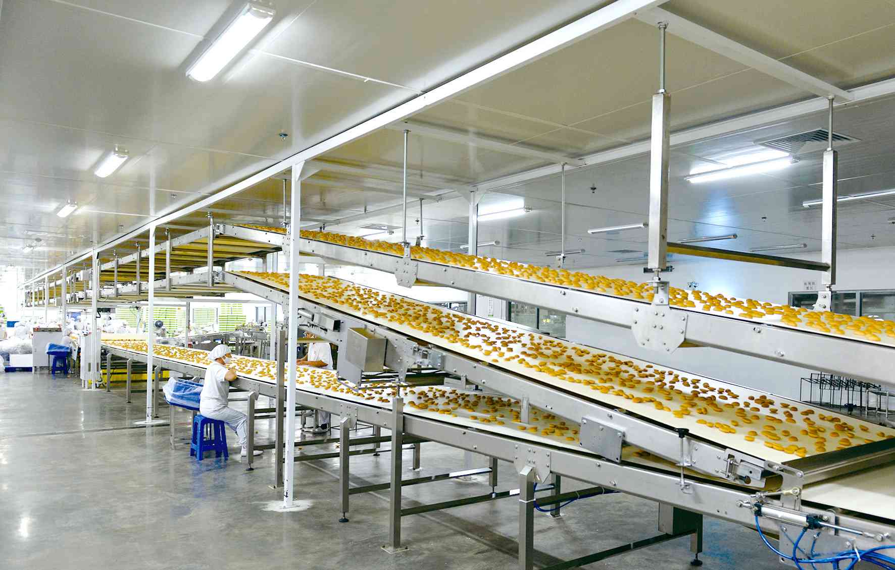 思朗饼干怎么样 莞味智造｜东莞思朗：健康类饼干的N种可能，引领行业潮流