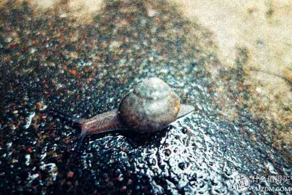 索尼RX100怎么样?也谈谈自己使用的SONY索尼DSC-RX100黑卡数码相机 索尼RX100怎么样?也谈谈自己使用的SONY索尼DSC-RX100黑卡数码相机